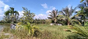 bán hơn 5000m đất trang trại ở kiến thuỵ, hải phòng, giá êm cho khách thiện trí