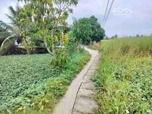 đất thổ cư giá rẻ, phù hợp đầu tư xây dựng nhà hoặc giữ làm tài sản.