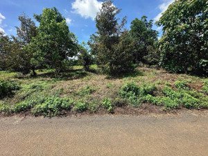 hàng đầu tư hiếm mặt tiền tân lạc full thổ cư 600tr/lô