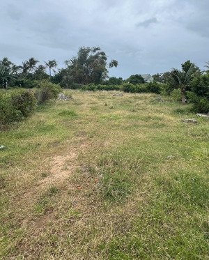 sót lô hàng hiếm vừa đẹp tại thôn xuân thọ, xã xuân sơn. giá chỉ 4,8tr/m2, dtich 106,3 m2 full thổ