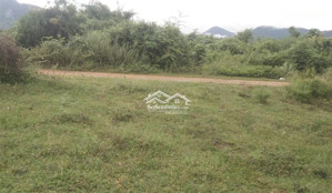 cơ hội đầu tư nhỏ vốn 214,8m² đất ở thôn xuân thọ, vạn ninh, đường đất 2m giá chỉ 1,15 tỷ