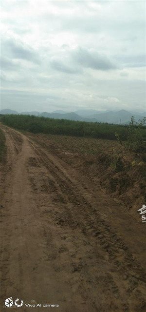 có 600 triệu muốn an cư tại thôn xuân thọ, vạn ninh thì xem ngay lô này, 118m2 full thổ