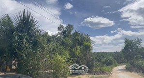 bán lô đất ở xuân thọ dưới 700 triệu ngang 3,6 đẹp, mua là xây được liền, 134,9m2 đất ở