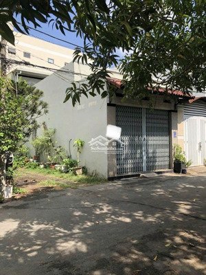 bán đất tại đường số 79, tân hưng, q7, hcm, 6,8 tỷ, 80m2