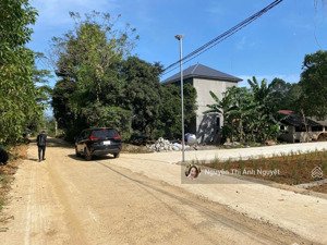 bán đất tại đường tỉnh lộ 217, vĩnh long, vĩnh lộc, thanh hóa, 400 triệu, 102 m2