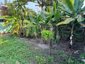 giá siêu tốt - chính chủ cần bán nhanh lô đất vị trí tại thủ đức, thành phố hồ chí minh