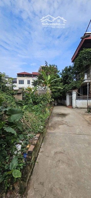 bán đất trường lâm.dt100m mt6m.hơn 12 tỷ.