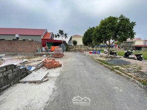 chính chủ gửi b. án 02 lô đất siêu đẹp đối diện sân bóng lâm động, thuỷ nguyên