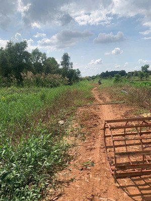 bán đất vườn đẹp hơn 5000m2 làm nhà vườn nghỉ dưỡng giá chỉ 22,5 tỷ còn thương lượng mạnh