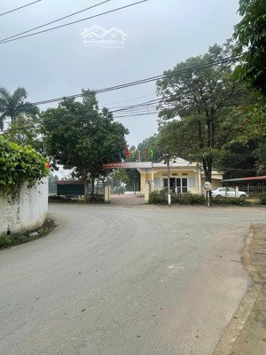 đất nền cổ đông view hồ, gần đường lớn, gần đh quốc gia, trục hồ tây ba vì -tiềm năng tăng giá mạnh