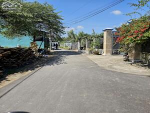 Bán đất Diên Hoà thôn Lạc Lợi full thổ cư mặt đường nhựa thông - xung quanh dân cư đông