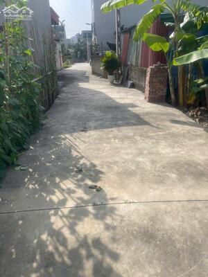 Bán đất ngõ Lý Anh Tông – Hải Tân, giáp EcoPark, ô tô vào tận đất, giá 850tr