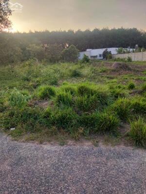 Đất đẹp, nở hậu, Suối Nhum, Hắc Dịch, Phú Mỹ, gần 600M2, Thổ Cư, chỉ 1.65T