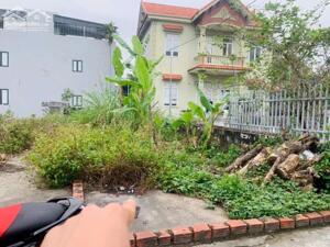 CHÍNH CHỦ CẦN BÁN LÔ ĐẤT TẠI THÔN ĐÔNG Tây Nam- THỦY ĐƯỜNG - THUỶ NGUYÊN - HẢI PHÒNG