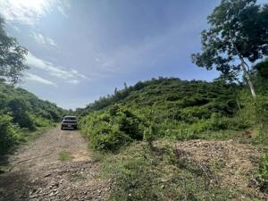 bán 1,1 hecta đất làm nhà vườn trồng Bưởi, Sầu Riêng xã Sông Cầu, Khánh Vĩnh mặt tiền 110m