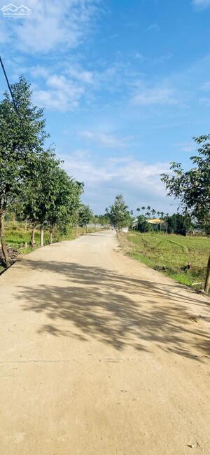  ĐẤT Ở 100% – SỔ RIÊNG TỪNG LÔ – GIÁ TỐT