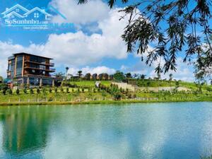 ĐẤT BẢO LỘC NGHỈ DƯỠNG, ĐẦU TƯ DÀI HẠN GIÁ TỪ 1 TỶ2