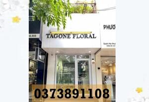 ⭐️Bán nhà số 19 Lương Khánh Thiện, Ngô Quyền, Hải Phòng, 0373891108