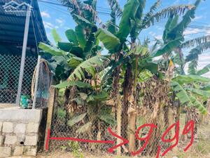 Bán đất thôn Mỹ Lợi giá chỉ 2,4tr/m2 xã Nam Ninh Hòa Khánh Hòa 0985451850