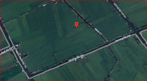  Bán Đất Ruộng Mỹ Hòa – Vị Trí Đường Mương Bà Hai, Gần Kênh 77