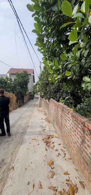 Bán Lô Đất 200m2 Tại Yên Vinh - Quang Minh ( Thanh Lâm Cũ ) Hà Nội - An Cư Lập Nghiệp