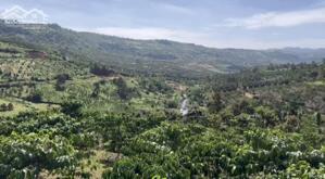 260TR/SÀO LỘC TÂN CŨ (PHƯỜNG 2 -BẢO LỘC), BẢO LỘC - 8,1 SÀO = 2,1 TỶ