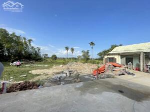 Cần bán lô kiệt Mai Đăng Chơn thông ra Lưu Quang Vũ