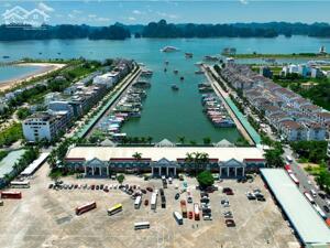 Bán lô đất biệt thự mặt biển Tuần Châu 842m2, sổ đỏ cầm tay sát Vinhomes Hạ Long Xanh