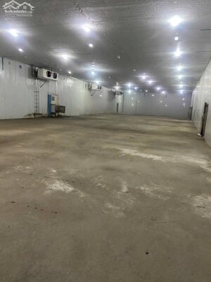 Cho thuê kho lạnh cấp đông công suất 300 và 600 tấn, trong khu công nghiệp Trà Nóc, Thới An Đông, Cần Thơ, xuất nhập được, lộ Container