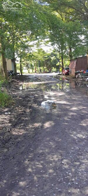 Bán nhanh lô đất KDC Nam Long 2 - Cần Đước DT 64m2 giá 900 triệu, shr