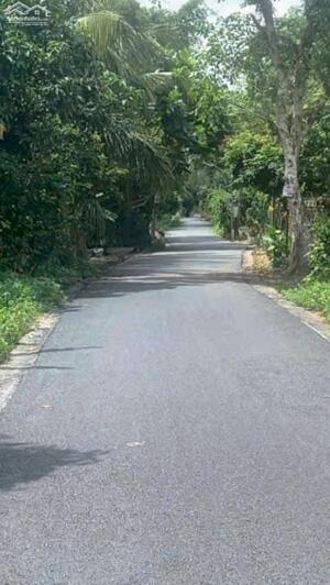 Đất nền đường Cái Môn phường Mỹ Trà tỉnh ĐT, cách cầu Quãng Khánh 150m