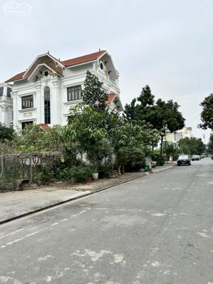 Bán đất biệt thự khu đấu giá 31ha Trâu Quỳ/Gia Lâm 236m2 đường to vị trí đẹp kinh doanh