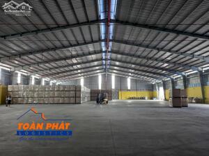 Cho thuê kho bãi – Lưu hàng ngắn hạn và dài hạn