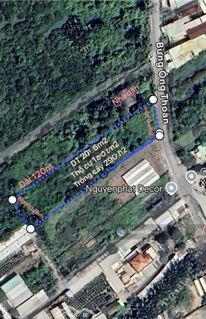 thách thức đầu tư - có 1806m2 thổ cư - 85 tỷ - mặt tiền đường 30m - kề liên phường - phú hữu