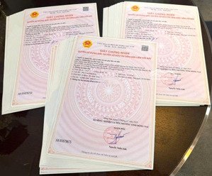 đất nền kđt the link city dầu giây chỉ từ 19 tr/m2, thanh toán dài hạn, ngân hàng cho vay 75%