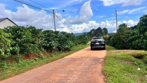 bất ngờ 599 triệu đất mặt đường liên xã rộng 5m diện tích 300m2 đất phường cam ly đà lạt