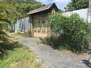 bán đất thổ cư nguyễn thị rành, an nhơn tây, củ chi: 29 x 76= 2.197m2, giá 8 tỷ