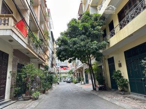 bán nhà phân lô dịch vọng - cầu giấy, 29 tỷ, 100m, ô tô tránh dừng đỗ, mặt tiền 8m