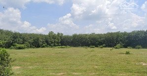 bán kho, nhà xưởng 19 tỷ, 17000 m2 tại phước hòa, phú giáo, bình dương, giá cực chất