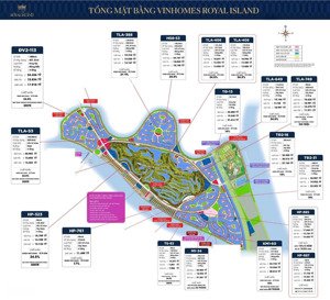 chủ đầu tư bán căn song lập nhật 210m2 giá 16 tỷ 4 ngay cạnh trung tâm ikigai!