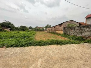 lô đất cẩm lĩnh cách trục chính thôn 50m, cách chợ phòng không 800m, cách ub, trường học hơn 1km