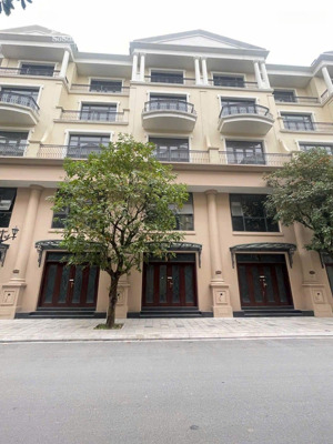 rẻ nhất thị trường pk cọ xanh- 52m- vin 2 gần cụm chung cư mass, trường học vin, công viên.hướng đn