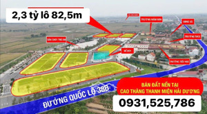 quỹ căn ngoại giao đẹp nhất dự án kđt phú cường xã tứ cường, thanh miện, giá tốt đầu tư chắc thắng