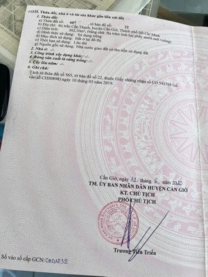 bán đất thổ cư mặt tiền đường giồng ao, cần giờ