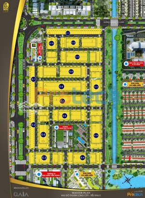 hoà phú 24 thông nguyễn sinh sắc giá rẻ nhất thị trường