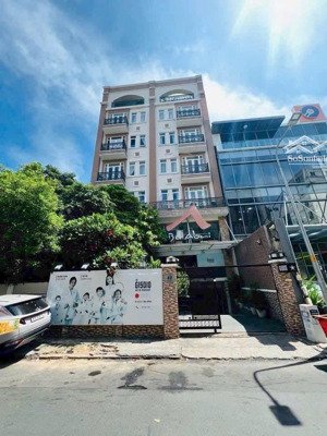 bán tòa nhà mặt tiền đường đặng dung, tân định, q1, tphcm. s: 14 -25m. hầm + 7 tầng. 