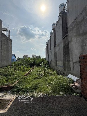 chính chủ bán đất q12, 56,5m2 thổ cư, hẻm xe hơi, shr, giá chỉ 3,5 tỷ