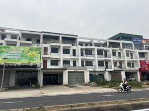 bán đất đấu giá bạch đa, kim hoa, mê linh gần kcn quang minh đường vđ4