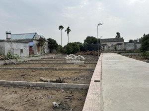 tết đến xuân về an cư khởi lộc tri ân quý khách hàng mở bán 26 lô đất f0 tại quán trang