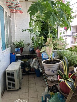 cần bán chung cư bàu cát 2 thang bộ diện tích 54m 2pn giá 2,17 tỷ - sổ hồng rồi